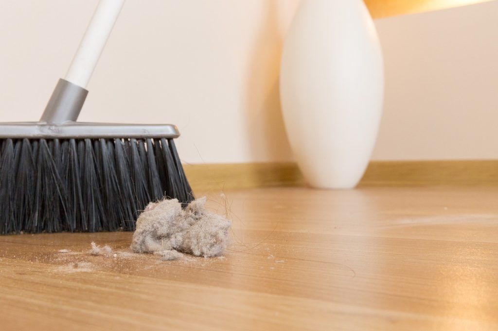 Dusting is an essential part of spring cleaning